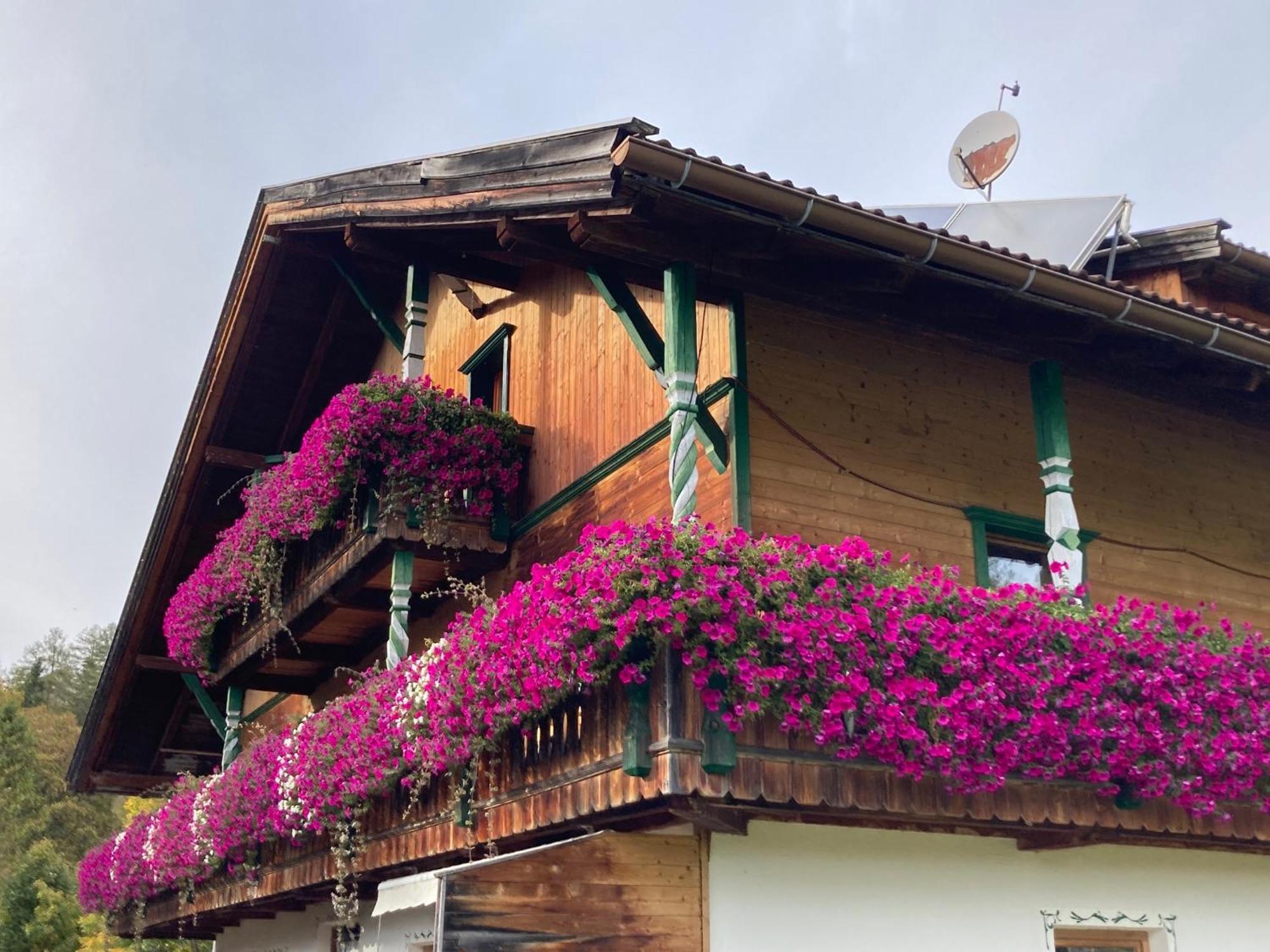 Apartmán Oefnerhof Leutasch Exteriér fotografie